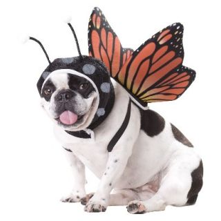 Butterfly Pet Costume   Small