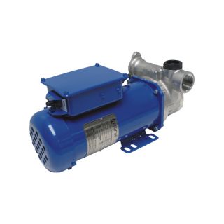 Fill Rite 115 Volt DEF Transfer Pump   8 GPM, 3/4 Inch BSPP Inlet and Outlet,