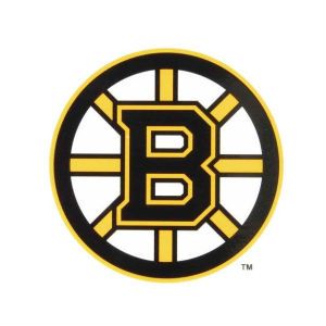 Boston Bruins Rico Industries Static Cling Decal