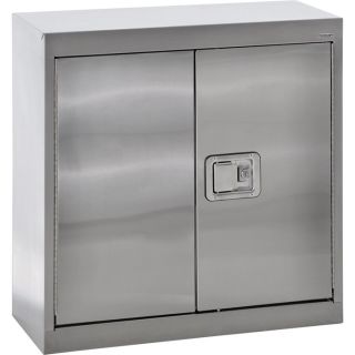 Sandusky Buddy Stainless Steel Wall Cabinet   30 Inch W x 12 Inch D x 30 Inch H,