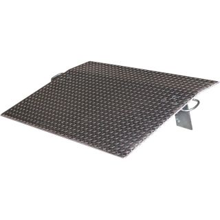 Vestil Economizer Dockplate   Aluminum, 1800 lb. Capacity, 60 Inch L x 48 Inch