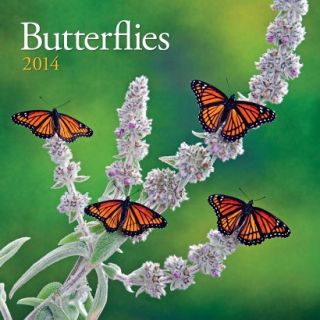 Avalanche Butterflies 2014 Wall Calendar