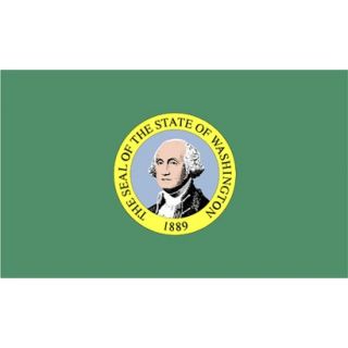Washington State Flag   4 x 6