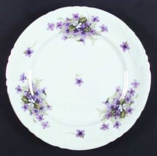 Japan China Violets Dinner Plate, Fine China Dinnerware   White Background    Pu