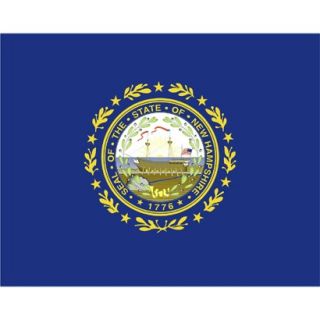 New Hampshire State Flag   3 x 5