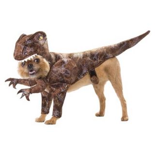 Raptor Pet Costume   Small