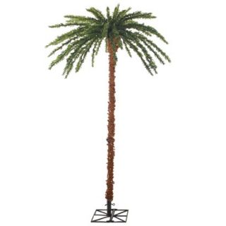 Lighted Palm Tree   6