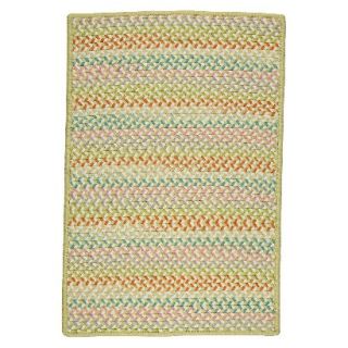 Color Craze Braided Area Rug   Green (5x7)