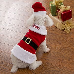 Personalized Dog Santa Suit