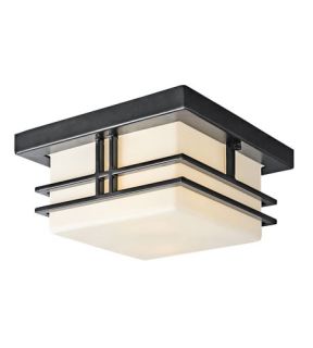 Tremillo 2 Light Outdoor Ceiling Lights in Black (Painted) 49206BKFL