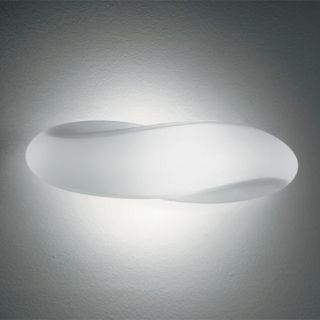 Track Ceiling or Wall Light