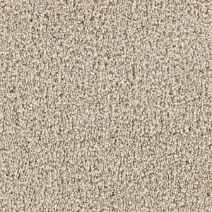 Martha Stewart Living Weston Park Sharkey Gray   6 in. x 9 in. Take Home Carpet Sample DISCONTINUED 861240