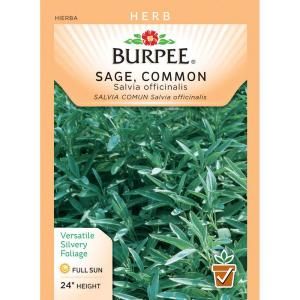 Burpee Herb Sage Seed 66167