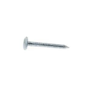 Grip Rite #11 x 1 in. Hot Dipped Galvanized Steel Roofing Nails (5 lb. Pack) 1HGRFG5