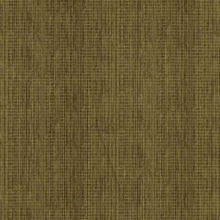 The Wallpaper Company 8 in. x 10 in. Green Faux Grasscloth Wallpaper Sample DISCONTINUED WC1283002S