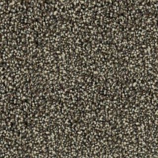 SoftSpring Homespun   Color Locust 12 ft. Carpet 6846 PT07 1200 H2
