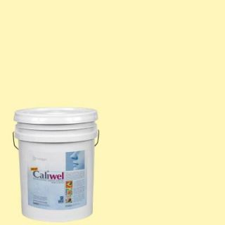 Caliwel Home & Office 5 gal. Peaceful Glow Yellow Latex Premium Antimicrobial & Anti Mold Interior Paint 850856m