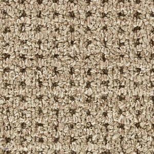 Martha Stewart Living Hillwood Tobacco Leaf   6 in. x 9 in. Take Home Carpet Sample DISCONTINUED 902208