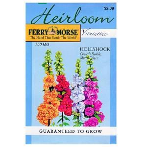 Ferry Morse Hollyhock Chaters Double Heirloom Seed 3431
