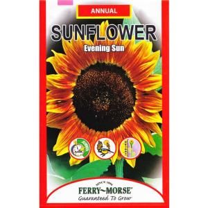 Ferry Morse Sunflower Evening Sun Seed 1501