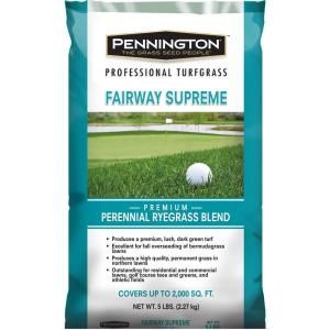 Pennington TRI Plex 5 lb. Perennial Ryegrass Blend 118306