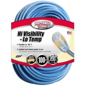Coleman Cable 100 ft. 12/3 SJTW Outdoor Extension Cord with Power Indicator Light 025690006