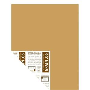 YOLO Colorhouse 12 in. x 16 in. Grain .06 Pre Painted Big Chip Sample 221369