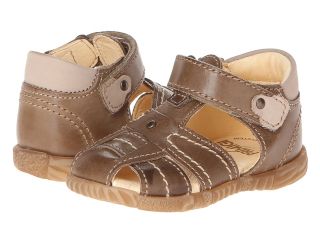 Primigi Kids Lars E Boys Shoes (Brown)