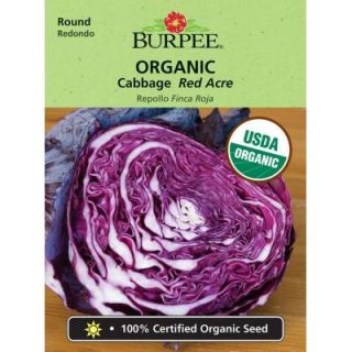 Burpee Cabbage, Red Acre Org 68379