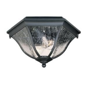 Acclaim Lighting Flushmount Collection Ceiling Mount 2 Light Outdoor Matte Black Light Fixture 5615BK