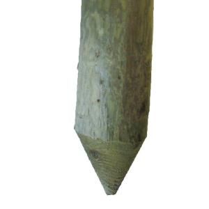 5 in. x 8 in. Pressure Treated Pointed End Lodgepoles 85621