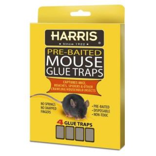 Harris Mouse Glue Traps (4 Pack) HMG 4