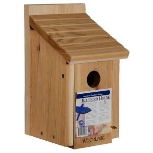 Woodlink Bluebird Bird House BB1