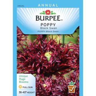 Burpee Poppy Black Swan Seed 39032