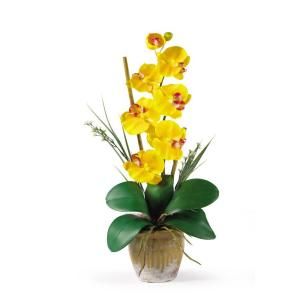 Nearly Natural 29 in. Single Stem Phalaenopsis Silk Orchid Flower Arrangement 1016 GY