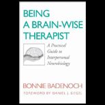 Being a Brain Wise Therapist A Practical Guide to Interpersonal Neurobiology