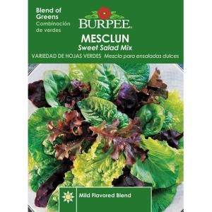 Burpee Mesclun Sweet Salad Mix Seed 65846