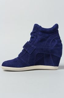 Ash Shoes The Bowie Sneaker in Cobalt Blue Suede