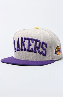 Mitchell & Ness The Los Angeles Lakers Basic Arch Snapback Hat in Gray Purple