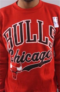 And Still x For All To Envy Vintage Chicago Bulls crewneck sweatshirt NWT