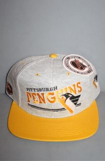 And Still x For All To Envy Vintage Pittsburgh Penguins heather snapback hat NWT nhl
