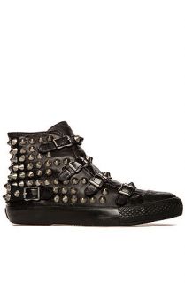 Ash Shoes Shoe Vogue Sneaker in Nappa Wax Black