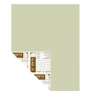 YOLO Colorhouse 12 in. x 16 in. Glass .01 Pre Painted Big Chip Sample 224414