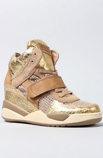 Ash Shoes The Funky Sneaker in Antic Gold Chamois Metal e Mesh