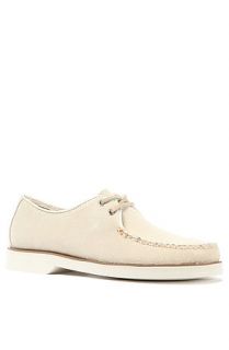 Sperry TopSider Oxford Shoe Silver Cloud Captains in Cream