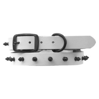Platinum Pets White Genuine Leather Dog Collar with Spikes   Black (17 20)