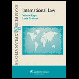 International Law Examples and Explanation