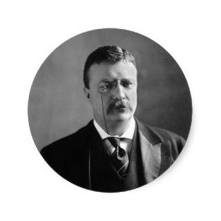 Portrait of U.S. President Theodore Roosevelt Round Stickers
