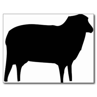 black sheep icon postcard