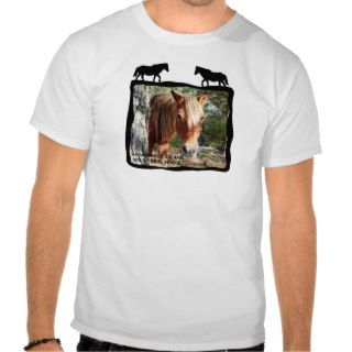 Wild Horse t shirts